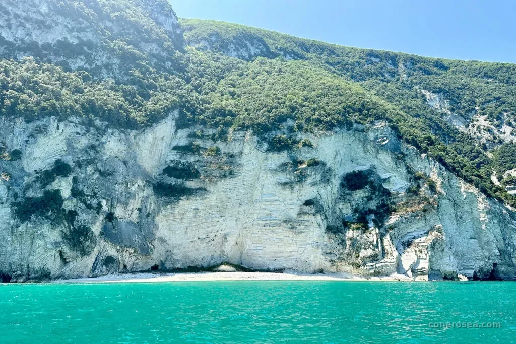 Le falesie bianche del Conero che si tuffano nel mare smeraldo, viste dalla barca