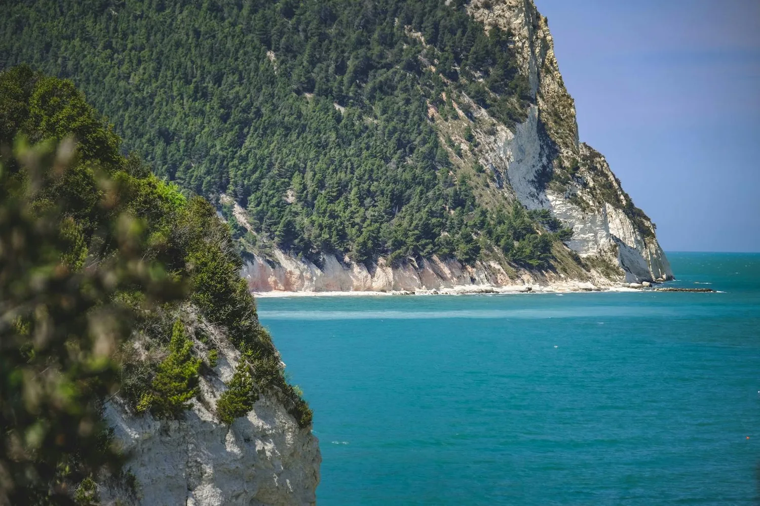 Le falesie bianche del Monte Conero a picco sulle acque turchesi della Riviera — foto Francesco Ungaro (Pexels)