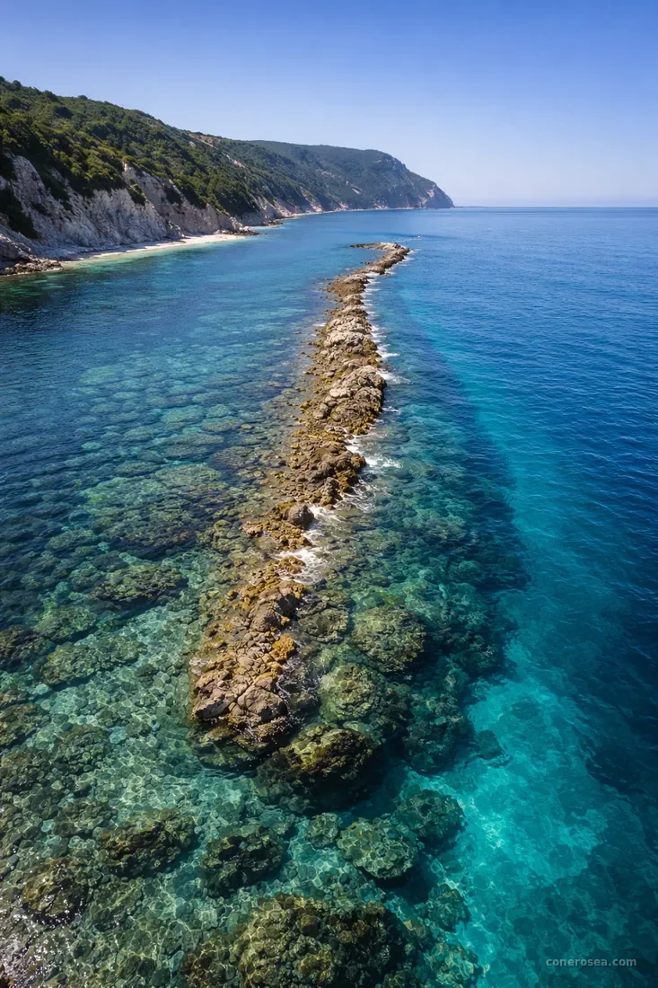 Il Trave