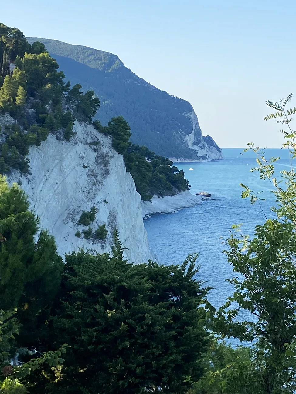 Le falesie bianche e il mare della Riviera del Conero a pochi chilometri dalla struttura